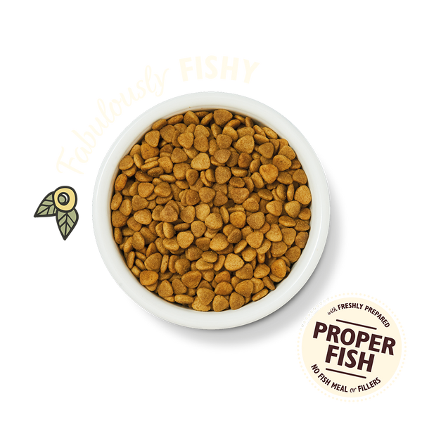 White Fish & Salmon Dry Food 2Kg